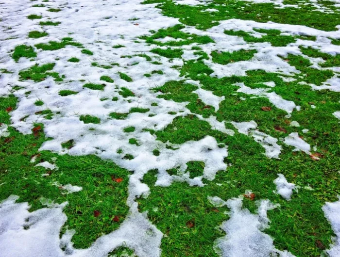 comment garder une pelouse verte en hiver gazon en neige