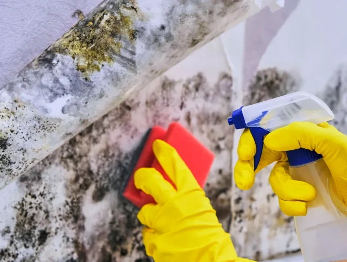comment se debarrasser de la moisissure sur les murs gants jaunes