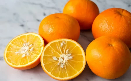 comment semer des graines d orange conseils