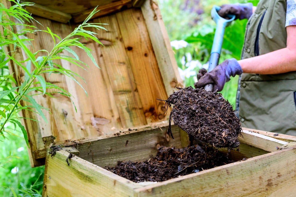 compost pour l hiver protection matières brunes
