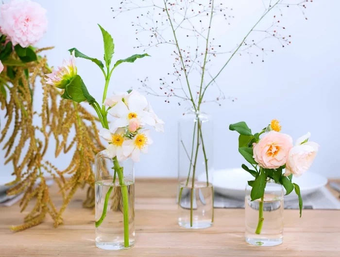 des fleurs dans des vases d eau transparentes