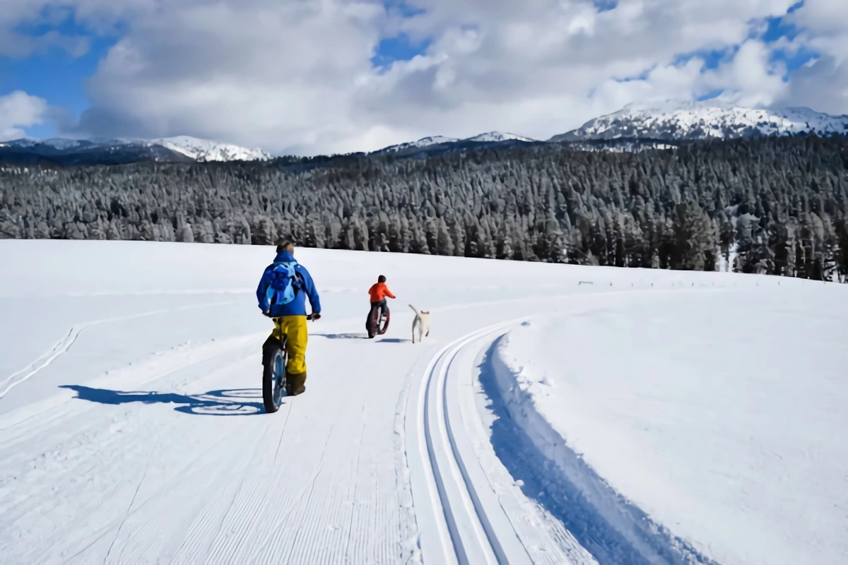 deux personnes de dos qui font du velo dans la neige avec un chien blanc