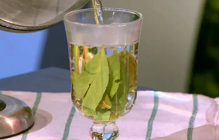 feuilles de laurier bienfaits pour la peau feilles en eau dans un verre