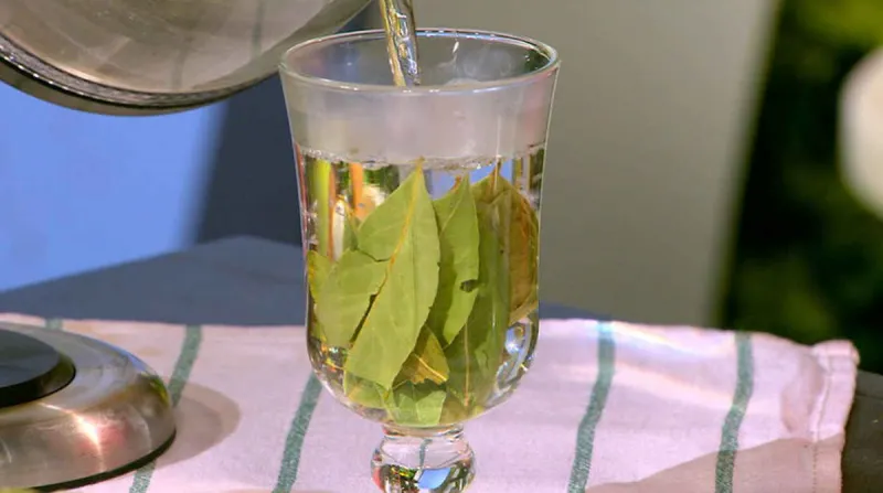 feuilles de laurier bienfaits pour la peau feilles en eau dans un verre