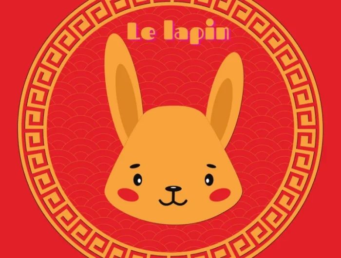 horoscope chinois 2023 année du lapin quelle sera l année pour les lapins