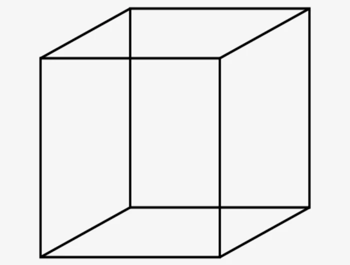 le cube de necker illusion optique compliquee