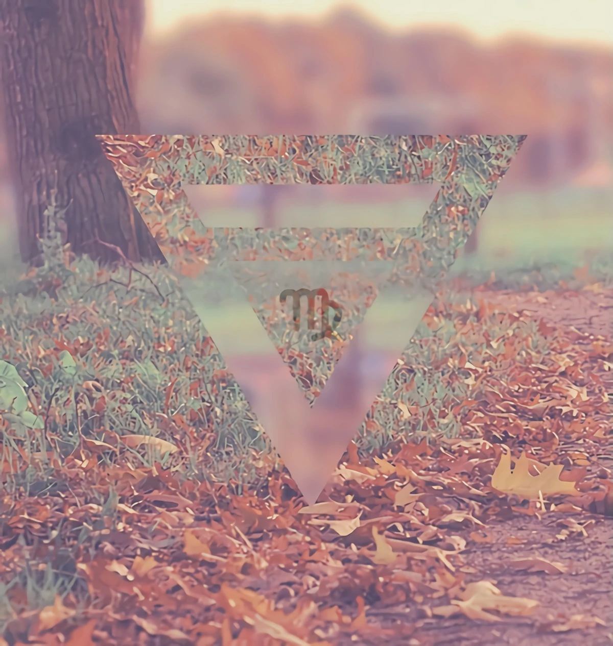 le symbole du signe astrologique de la vierge inscrit dans un triangle sur fond de feuilles mortes en automne