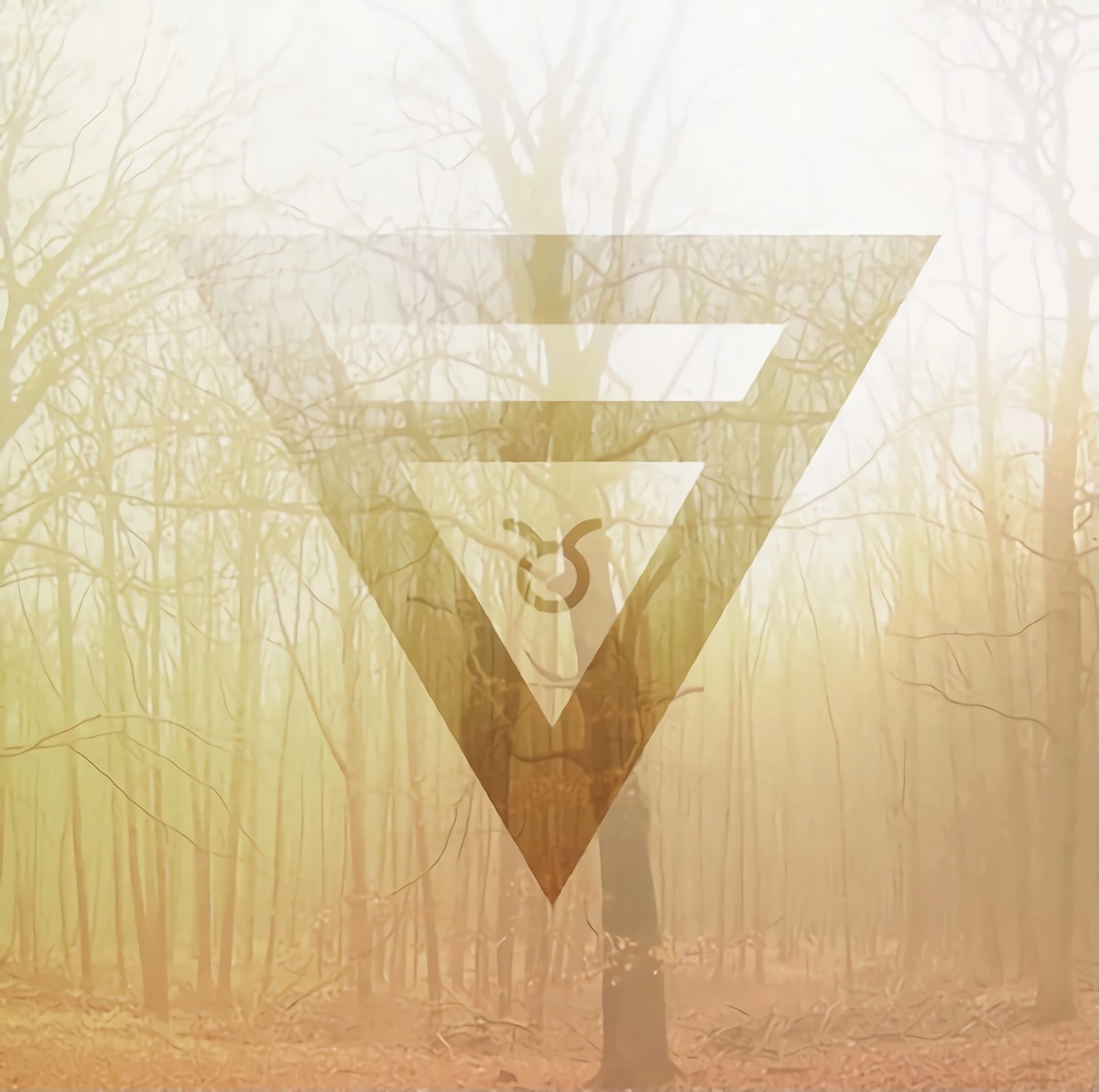 le symbole du signe astrologique du taureau inscrit dans un triangle sur fond un bois en automne