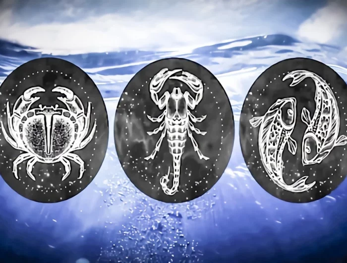 les signes astrologiques du cancer le scorpion et les poissons exprimes par leur equivalent dans le monde physique sur fond aquatique