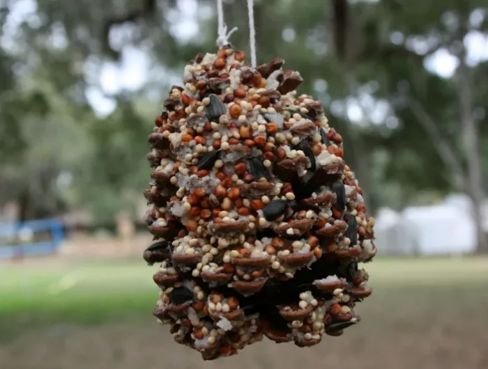 mangeoire a oiseaux en forme de pomme de pin recouvert de grains