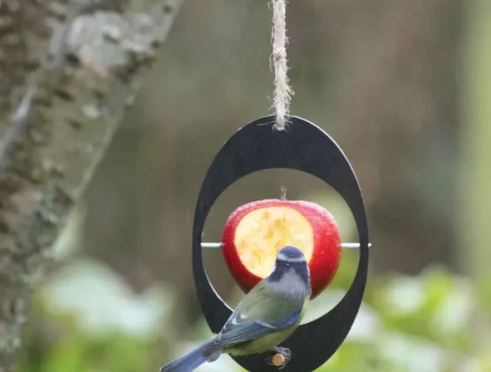 mangeoire a oiseaux pour accrocher des fruits avec une pomme et un oiseau qui mange