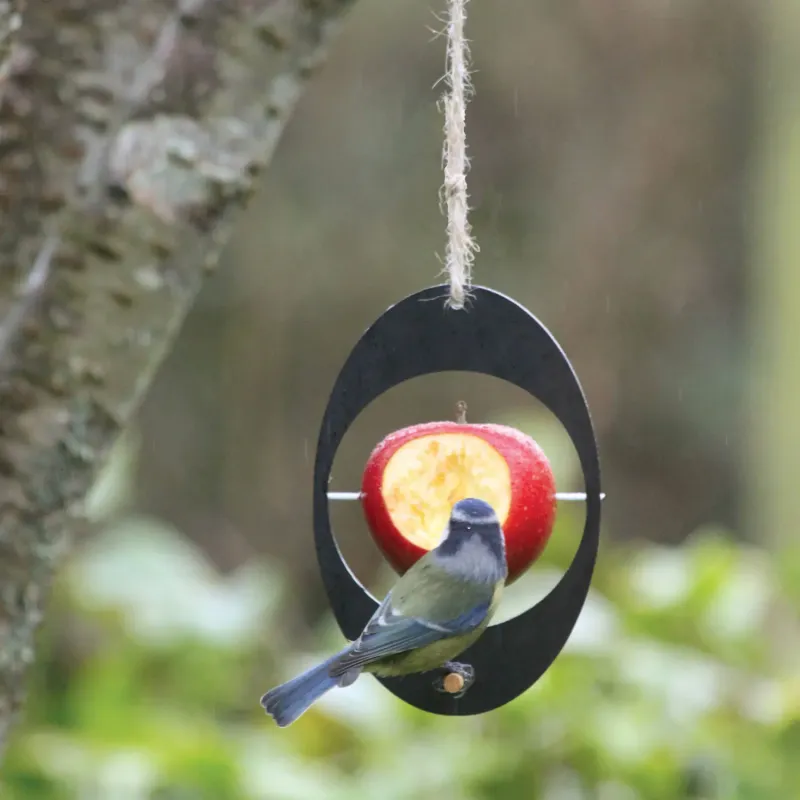 mangeoire a oiseaux pour accrocher des fruits avec une pomme et un oiseau qui mange
