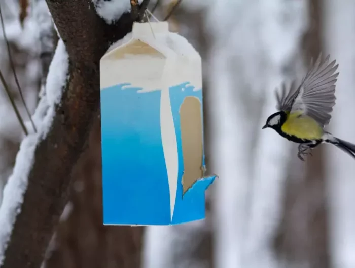 mangeoire en boite de lait minimaliste en bleu et blanc et un oiseau devant