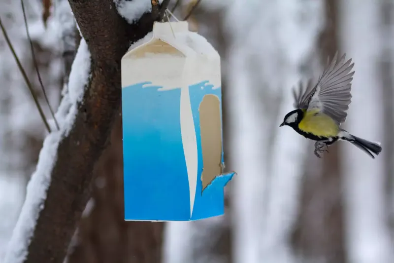 mangeoire en boite de lait minimaliste en bleu et blanc et un oiseau devant
