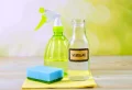 Comment éliminer l’odeur d’urine de chat dans la maison ? Astuces infaillibles avec des ingrédients naturels et écolos !