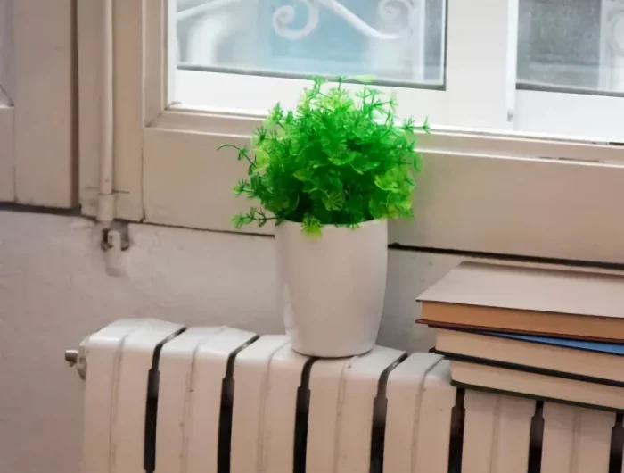 peut on mettre une plante à côté d un radiateur plante verte en pot dessus chaleur