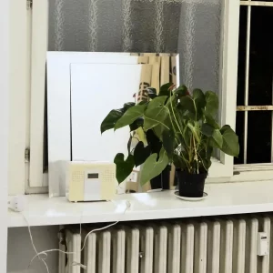 Peut-on mettre une plante à côté d'un radiateur ou autre chauffage ?