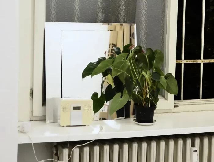plante à coté d un radiateur idée peut on rapprocher la plante d un chauffage