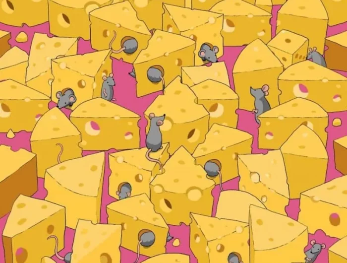 pouvez vous reperer le de entre les morceaux de fromage