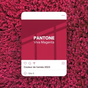 Viva Magenta : La couleur de l'année 2023 selon Pantone