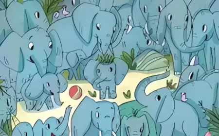 rhinoceros cache parmi des elephants en troupeau