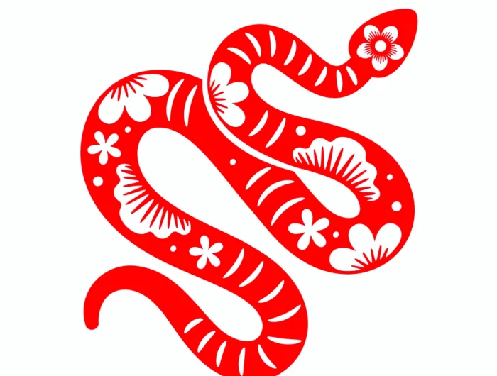 serpent rouge horscope chinois chiffre chance et bonheur 2023
