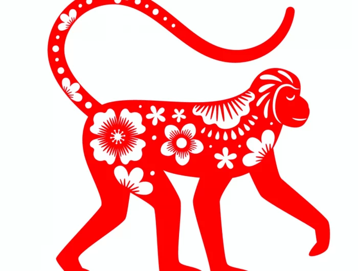 singe rouge signe zodiaque chinois