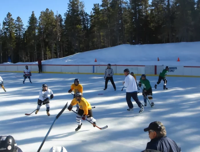 sport collectif sur glace avec des joueurs équipés en blanc jaune et vert jouant du hockey