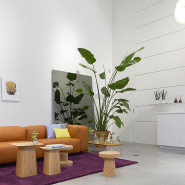 tendance déco salon épuré design eco responsable biophilique canapé en cuir plantes vertes