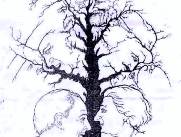 test d illusion otpique arbres avec des visages