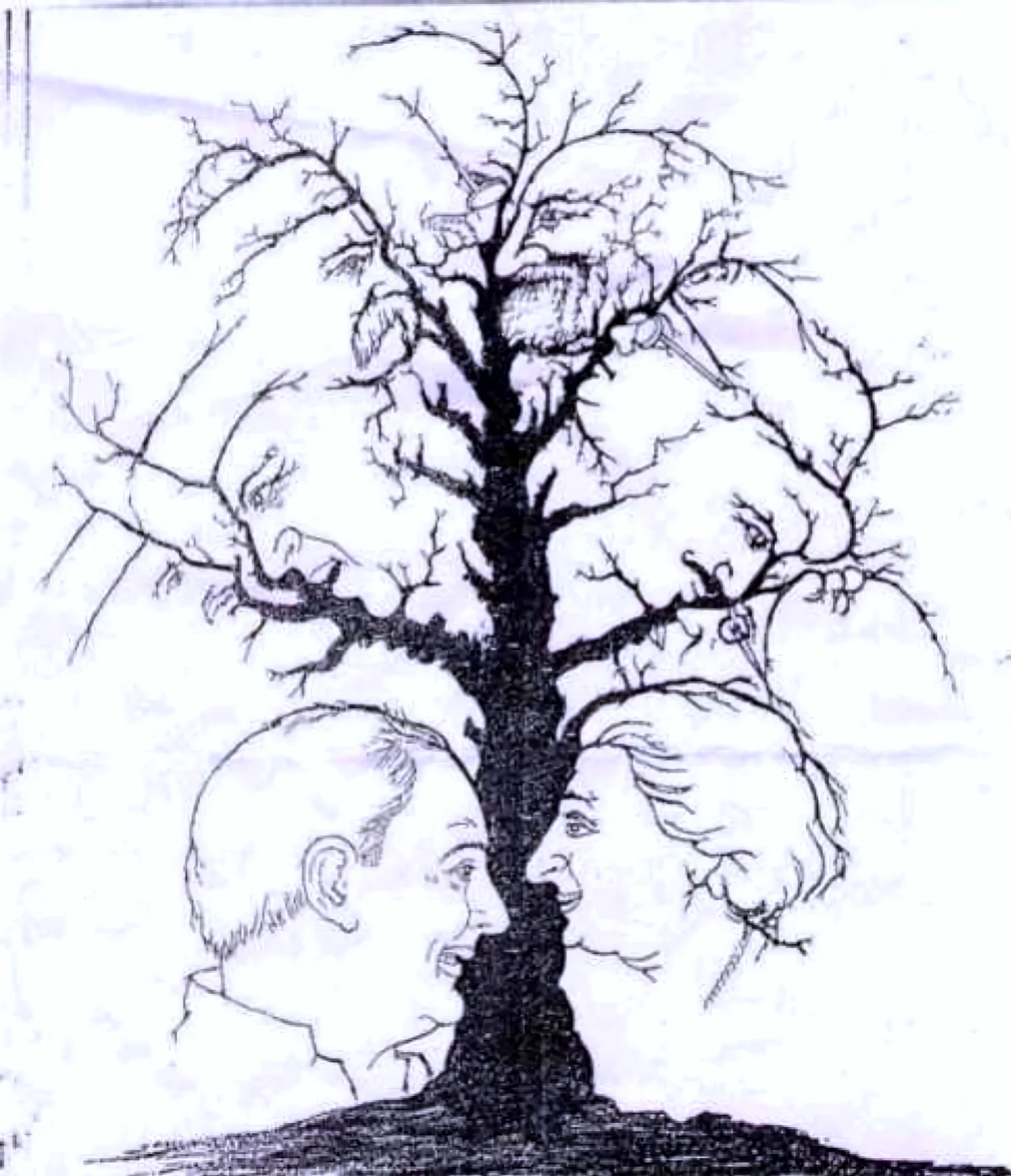 test d illusion otpique arbres avec des visages