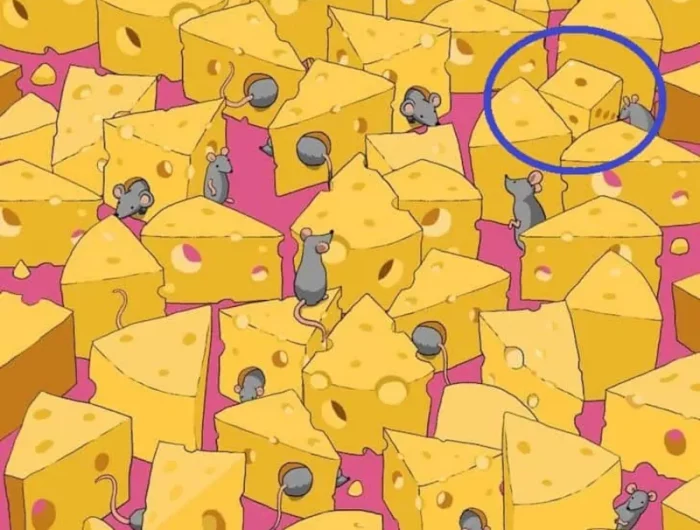 trouver le de en 9 secondes entre les morceaux de fromage