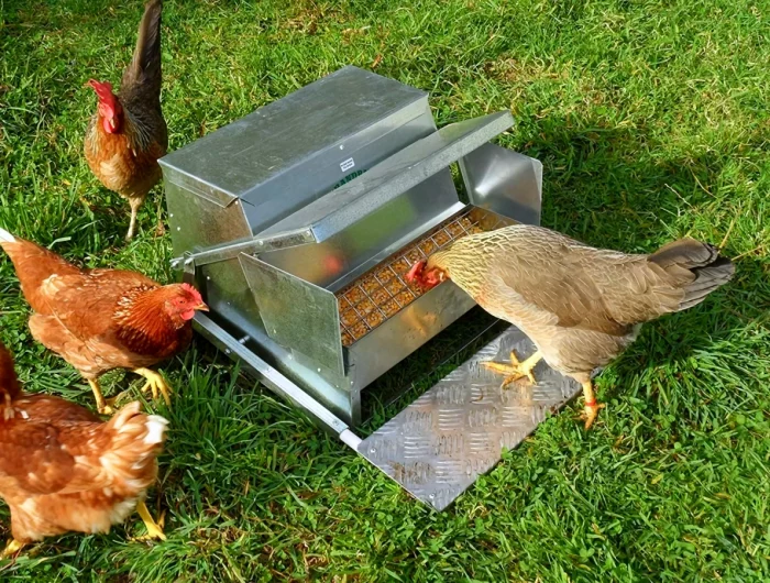 un mangeoire a pedale en metal pour les poules
