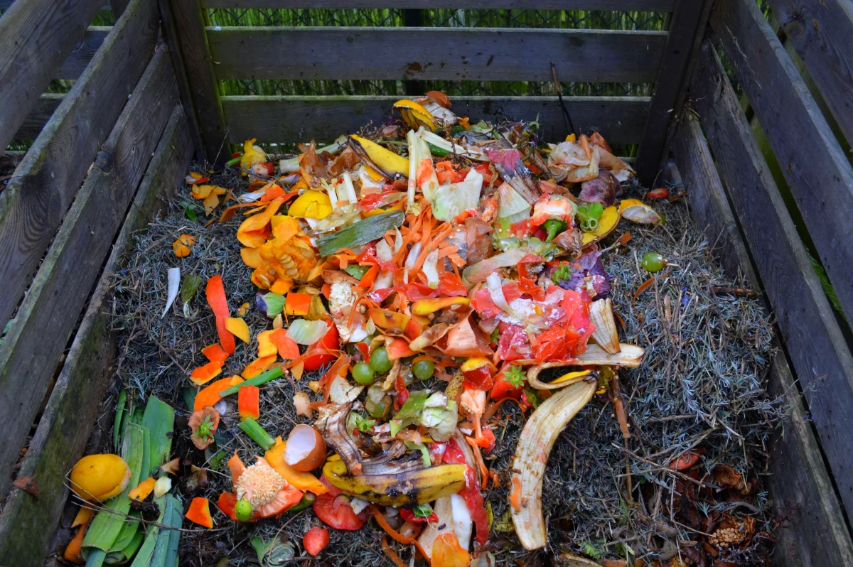 un tas de compost avec des dechets alimentaires