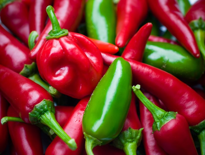 jalapeno poivrons rouges et vertes