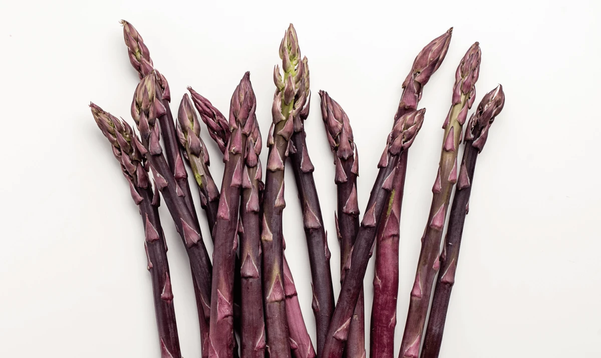 asperges violettes sur fond blanc antioxydant naturel