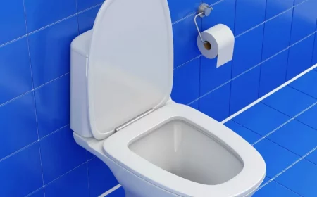 astuces pour enlever les taches noires au fond des toilettes