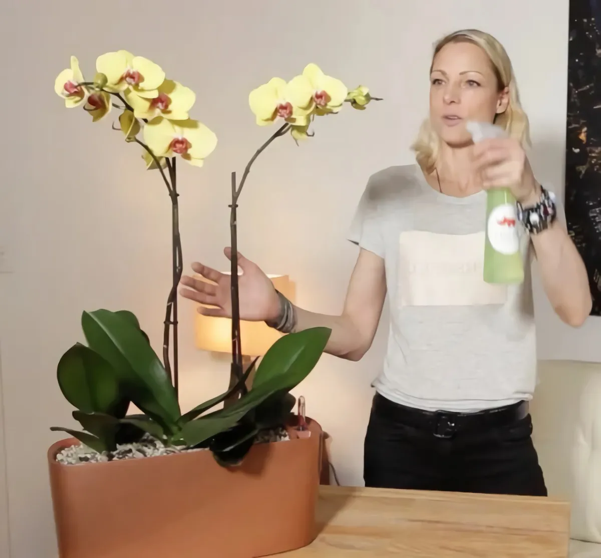 bicarbonate de soude ou de sodium pour les orchidees femme blonde pulverise orchidee