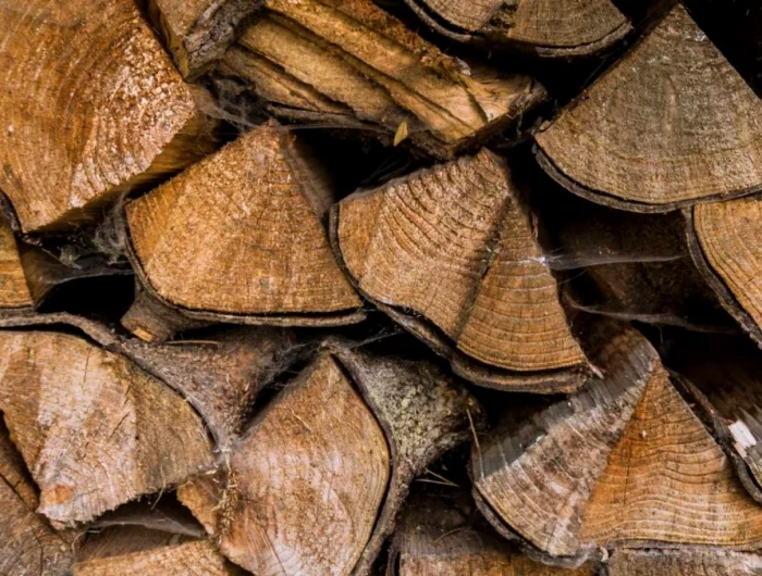 bois de chauffage de sapin recycle