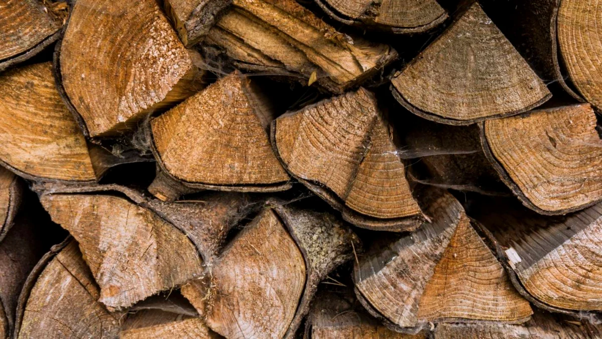 bois de chauffage de sapin recycle