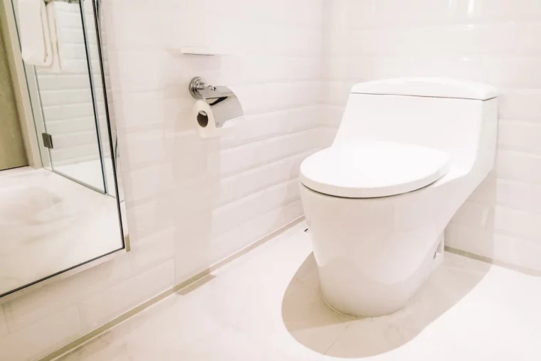 carrelage blanc salle de bain wc cuvette blanche panne