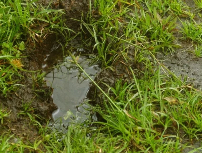 comment enlever la boue dans le jardin pelouse verte