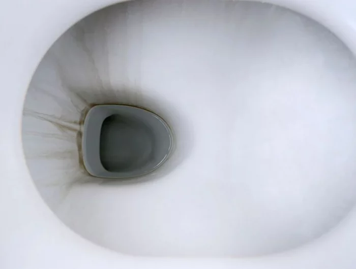 comment enlever le marron au fond des toilettes