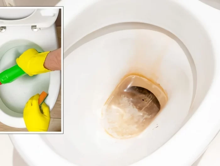 comment nettoyer le fond noir des toilettes methodes