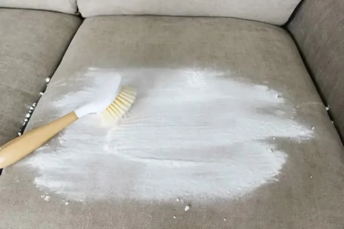 comment nettoyer son tapis à sec canape couvert de farine avec une brosse