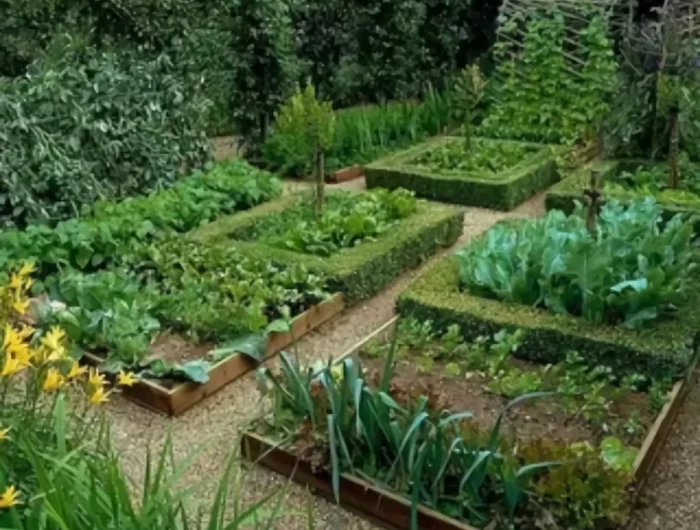 comment savoir si les vieilles graines peuvent encore germer potager vert