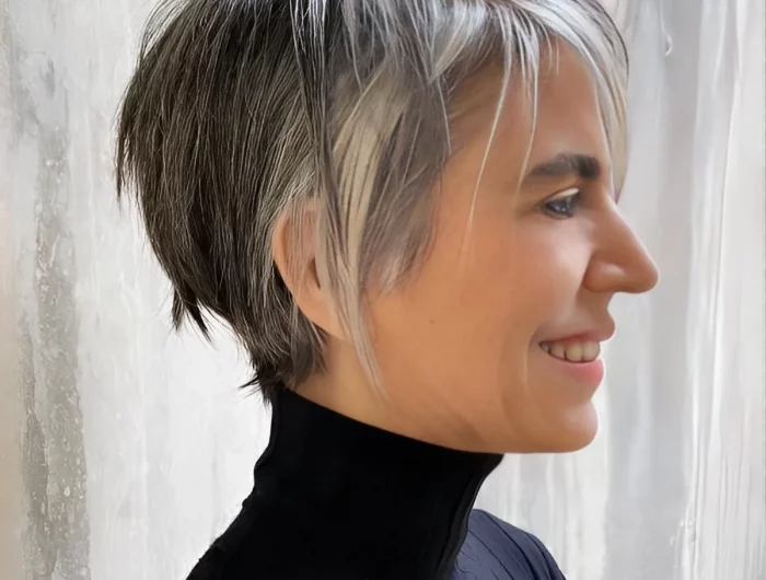 couleur de cheveux gris naturel balayage noir meches