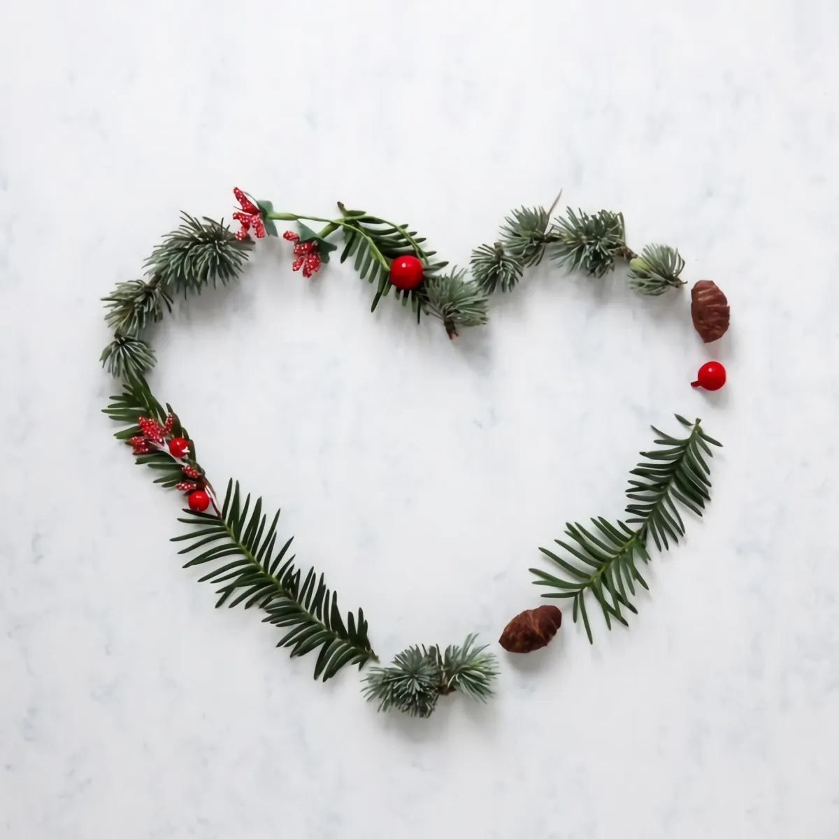decoration hiver facile activite manuelle branches de sapin baies rouges