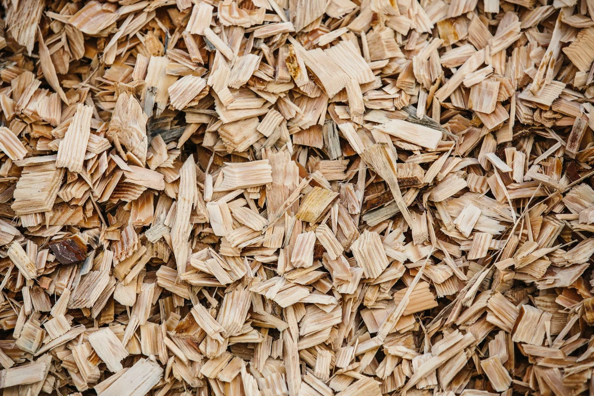 des copeaux de bois pour drainer le sol