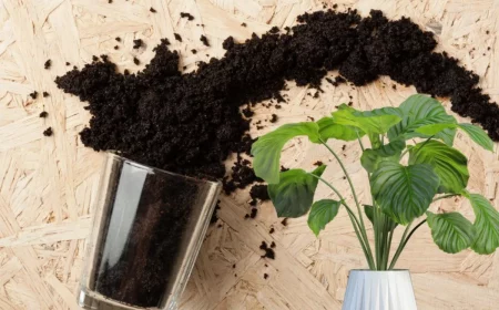 déchets alimentaires récyclage idée comment faire engrais pour plantes marc de café